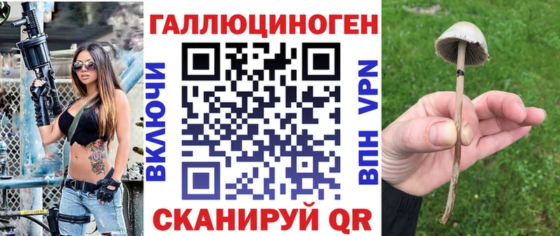 даркнет сайт  ссылка на мегу   Галлюциногенные грибы Psilocybe  Мытищи 